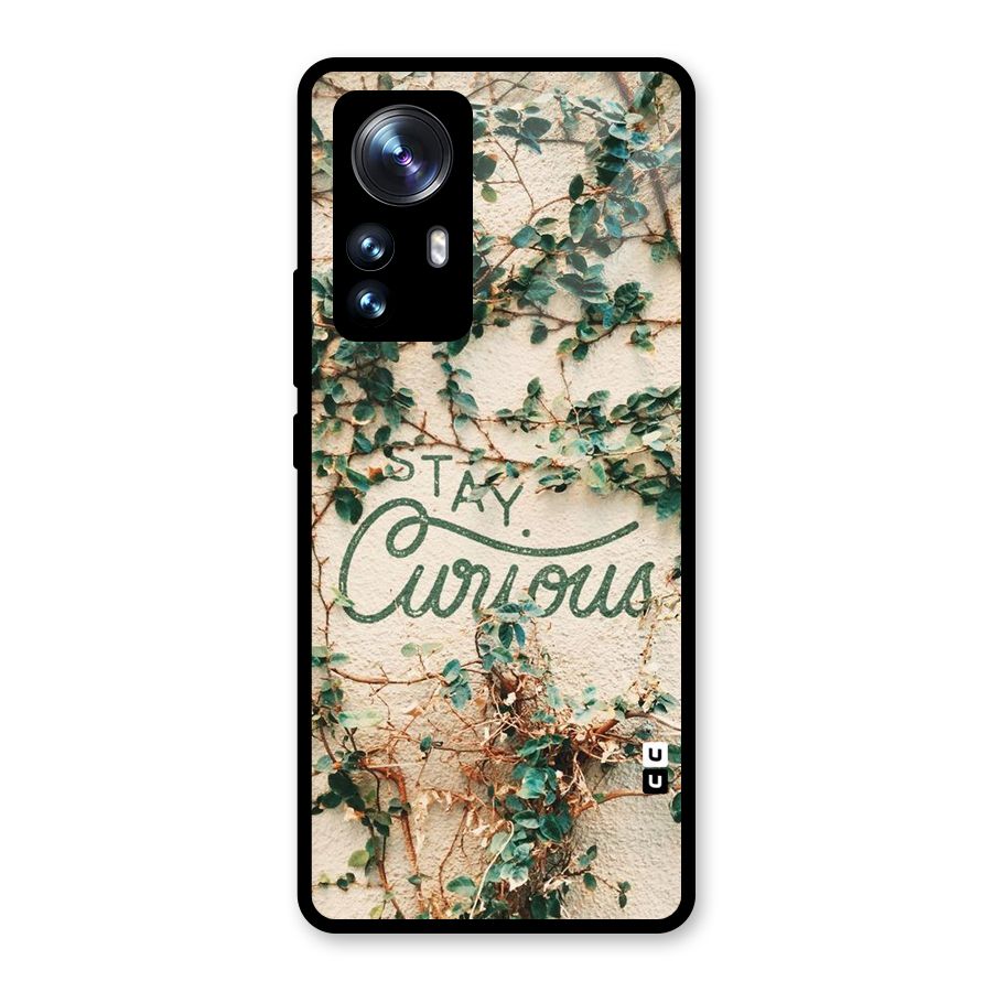 Stay Curious Glass Back Case for Xiaomi 12 Pro