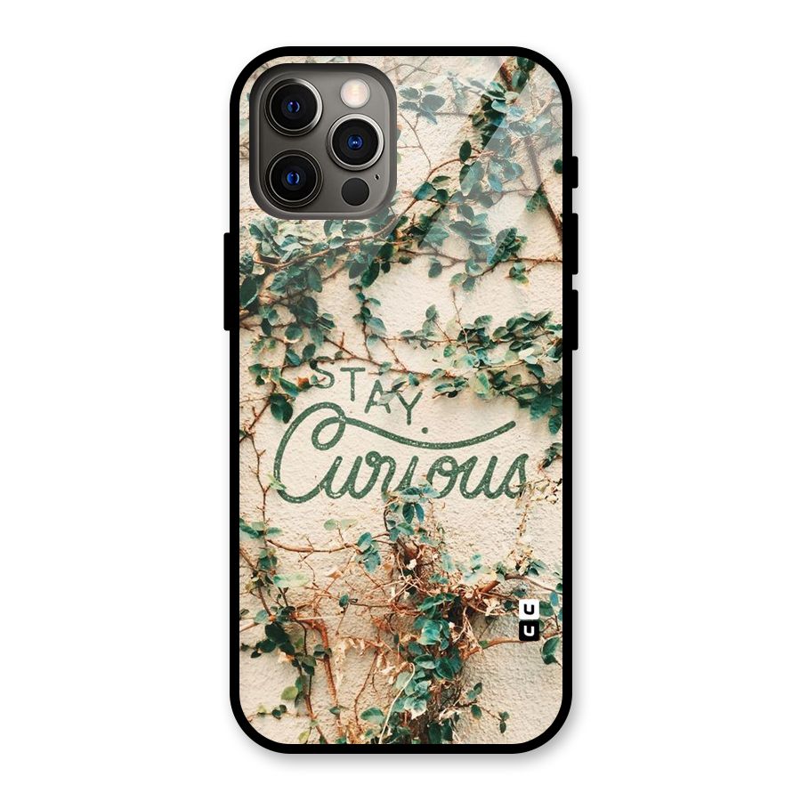 Stay Curious Glass Back Case for iPhone 12 Pro