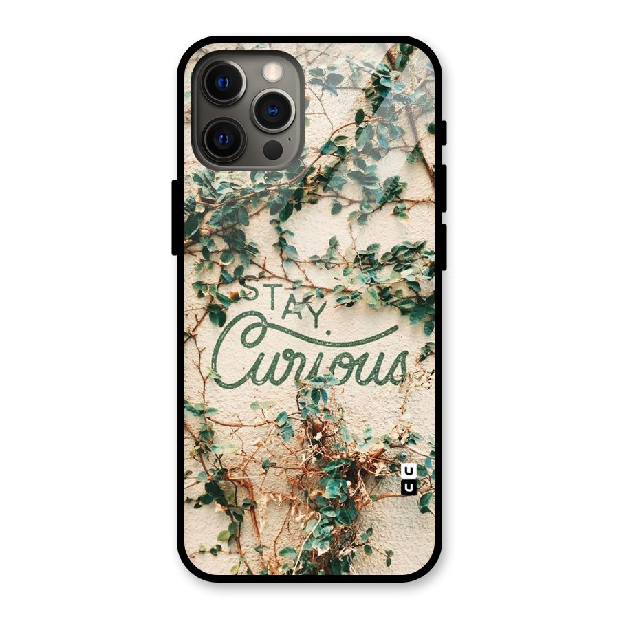 Stay Curious Glass Back Case for iPhone 12 Pro Max