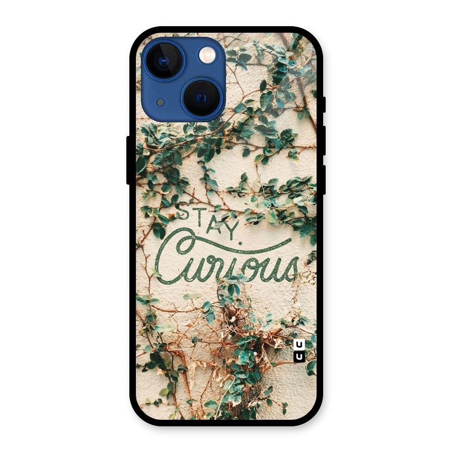Stay Curious Glass Back Case for iPhone 13 Mini
