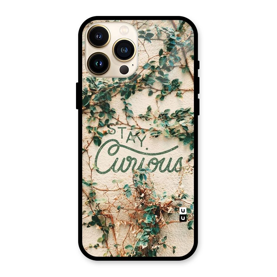Stay Curious Glass Back Case for iPhone 13 Pro Max