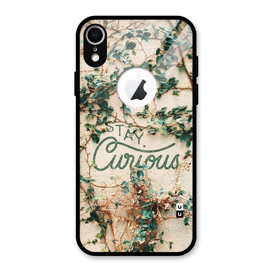 Stay Curious Glass Back Case for iPhone XR Logo Cut