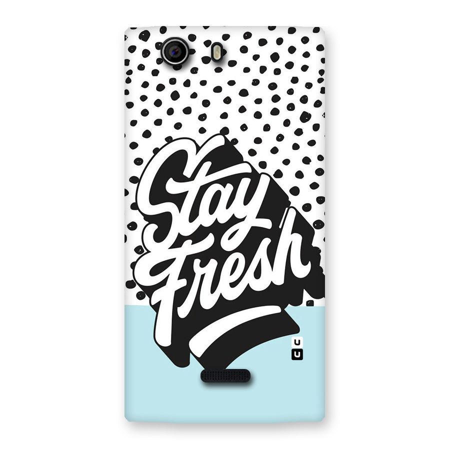 Stay Fresh Back Case for Canvas Nitro 2 E311