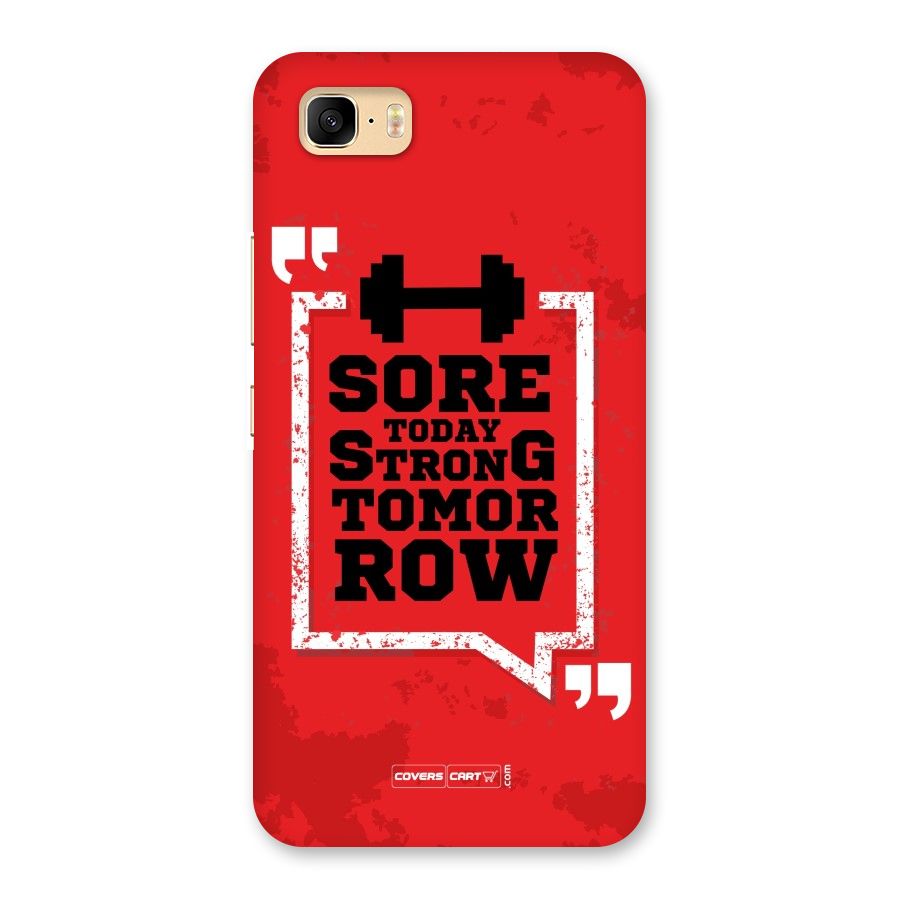 Stay Strong Back Case for Zenfone 3s Max
