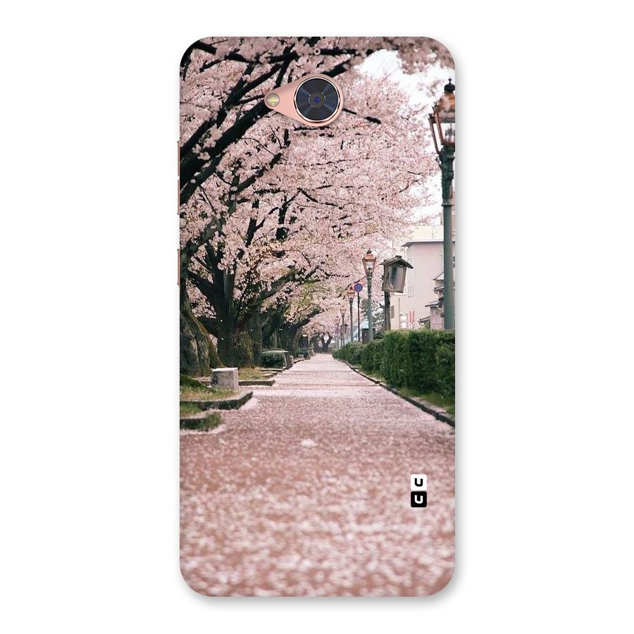 Street In Pink Flowers Back Case for Gionee S6 Pro