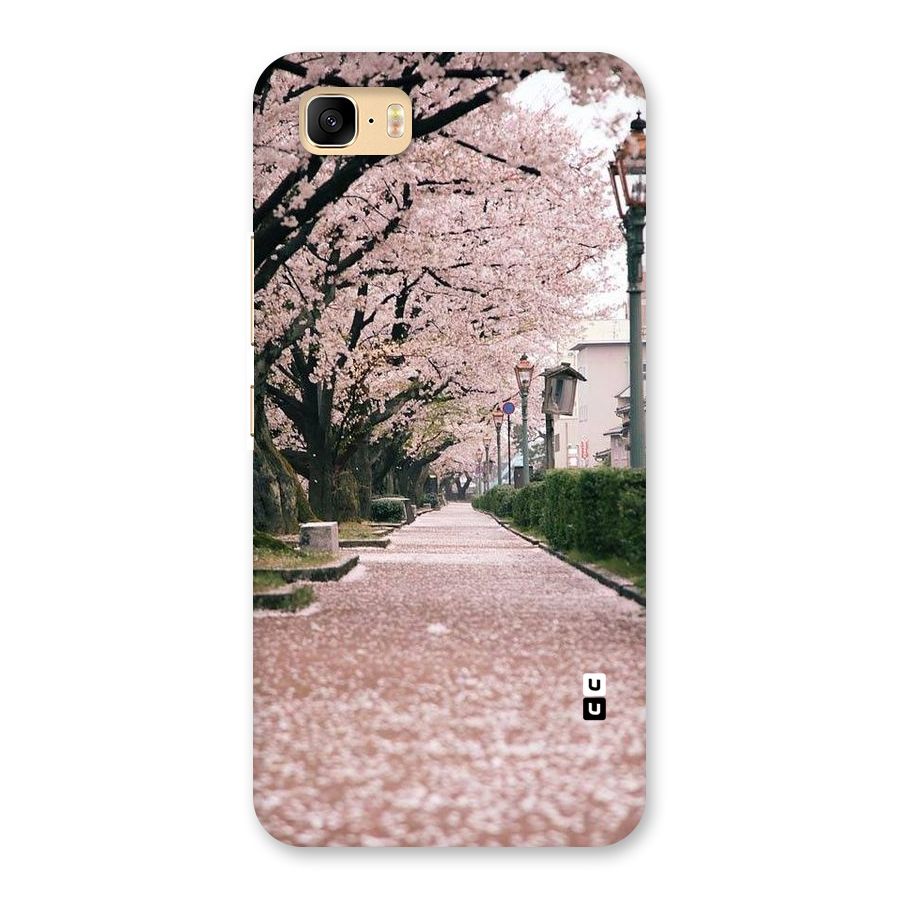 Street In Pink Flowers Back Case for Zenfone 3s Max
