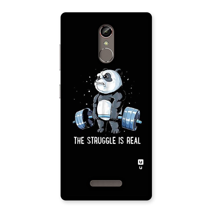 Struggle is Real Panda Back Case for Gionee S6s