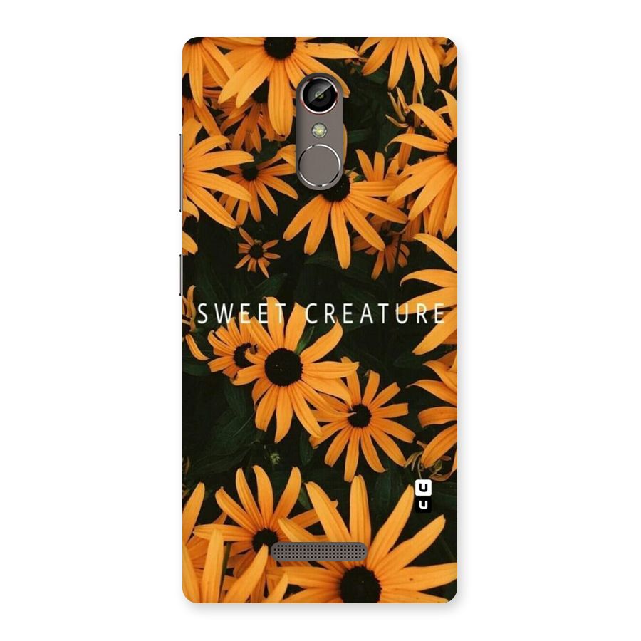 Sweet Creature Back Case for Gionee S6s