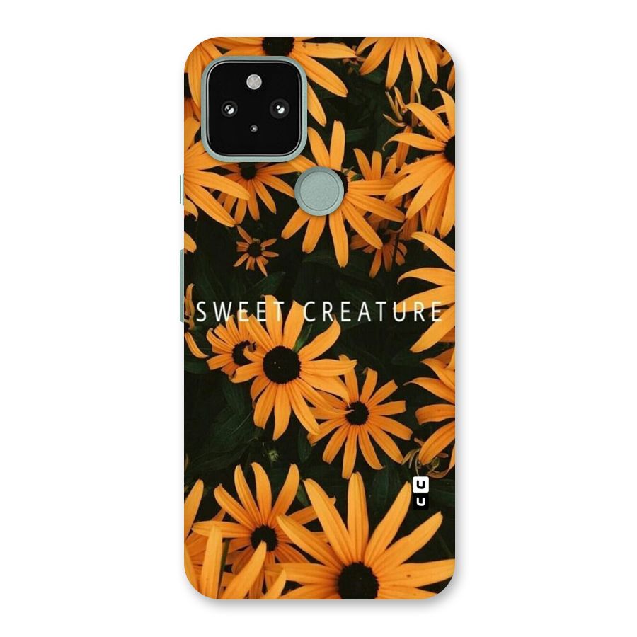 Sweet Creature Back Case for Google Pixel 5