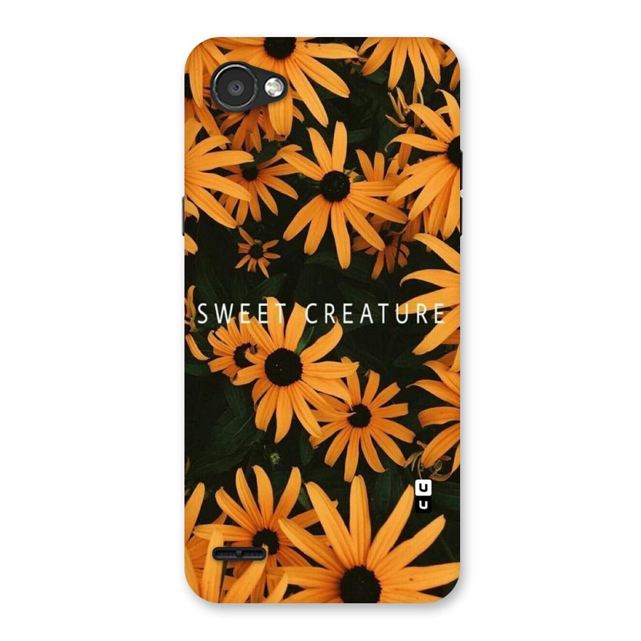 Sweet Creature Back Case for LG Q6