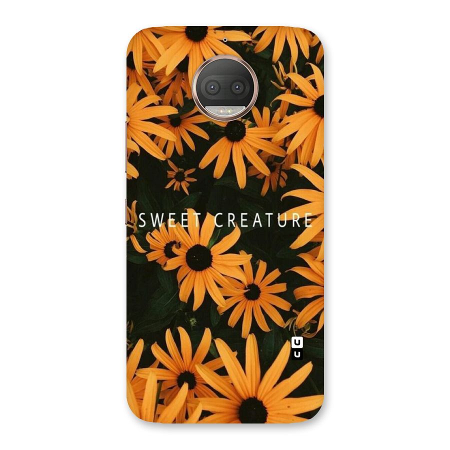 Sweet Creature Back Case for Moto G5s Plus