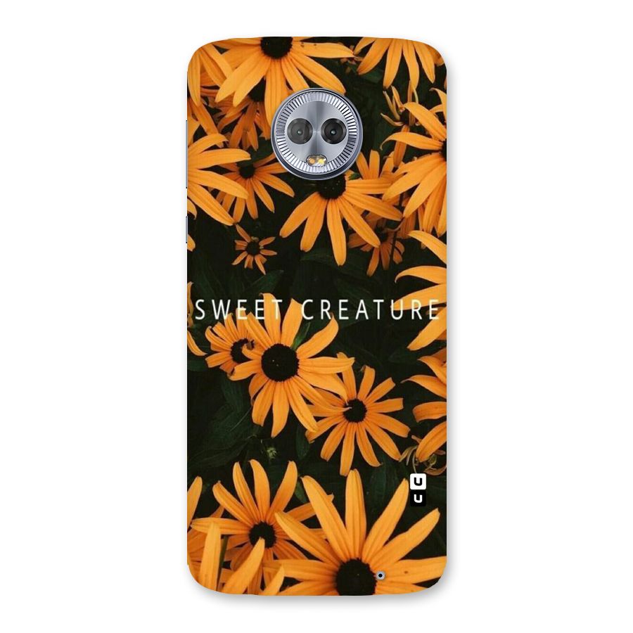 Sweet Creature Back Case for Moto G6 Plus