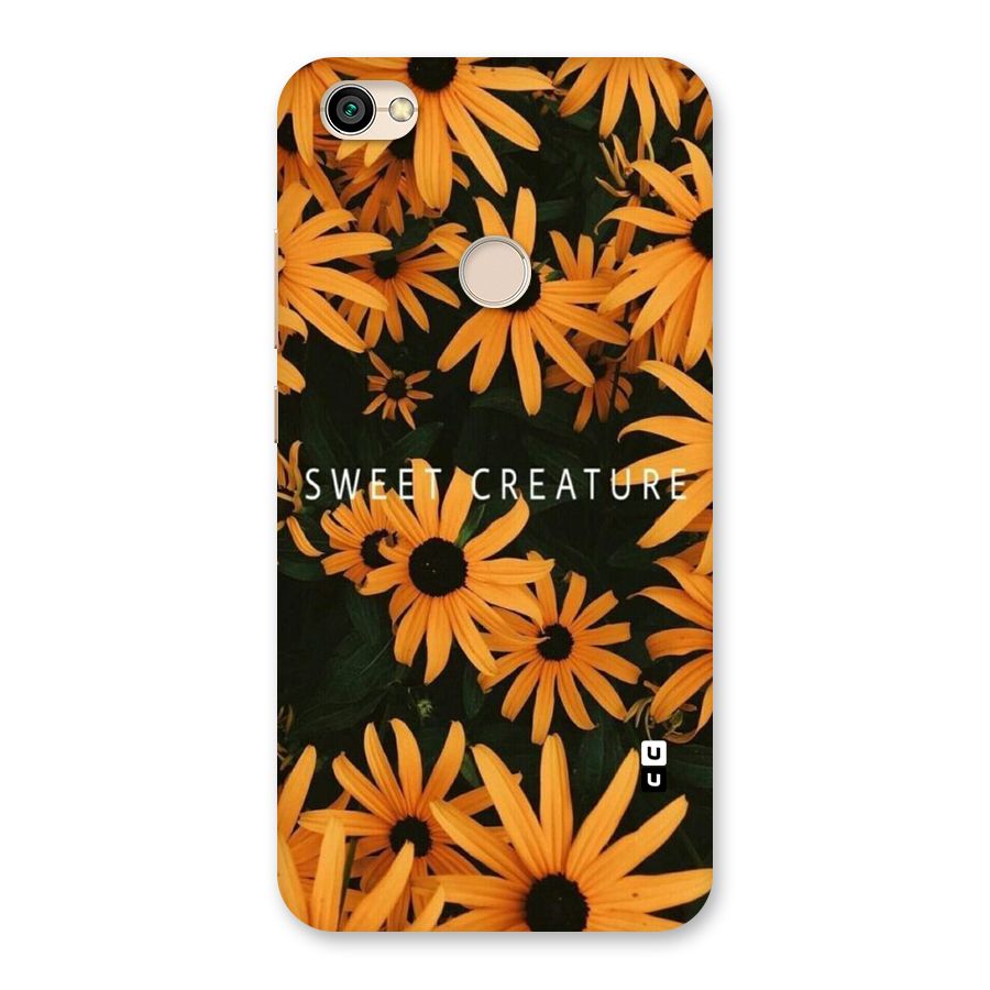 Sweet Creature Back Case for Redmi Y1 2017
