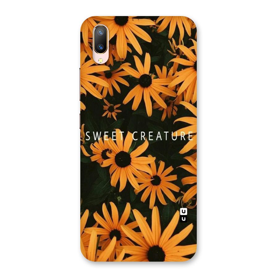 Sweet Creature Back Case for Vivo V11 Pro