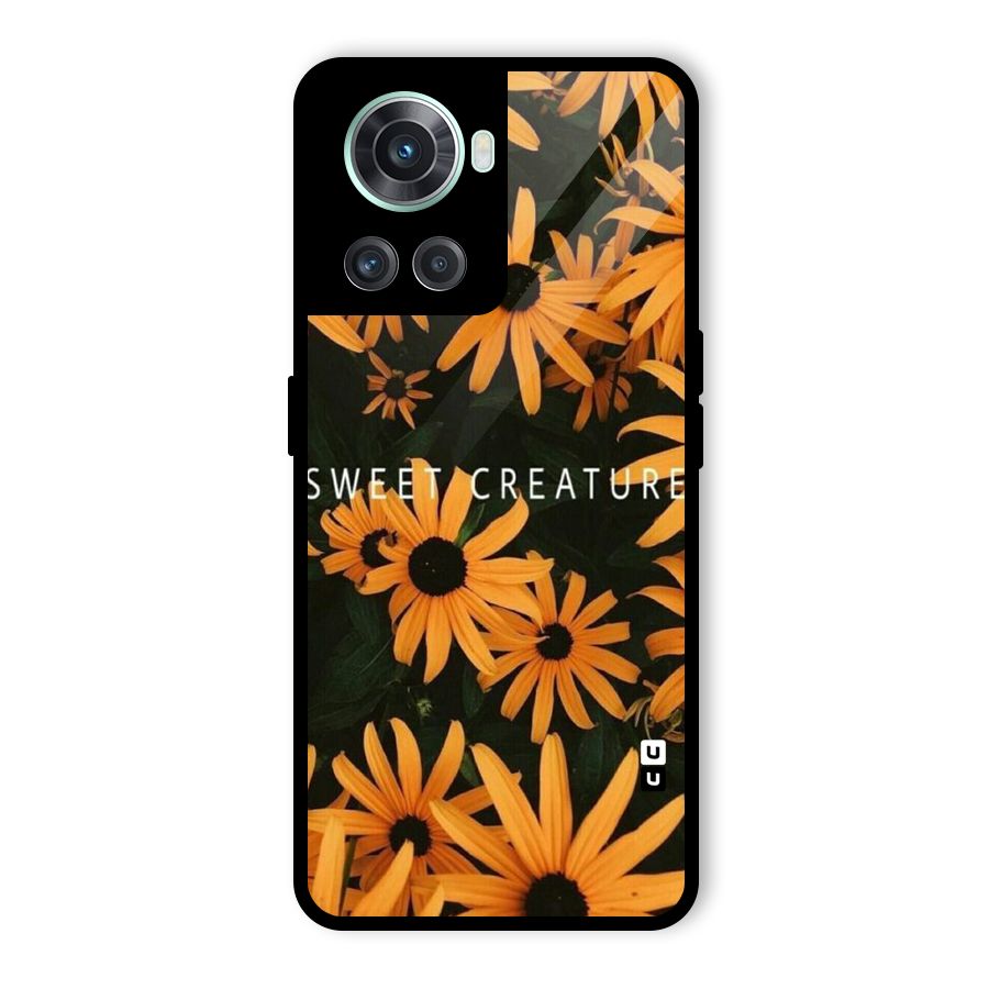 Sweet Creature Glass Back Case for OnePlus 10R