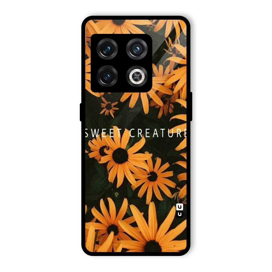Sweet Creature Glass Back Case for OnePlus 10 Pro 5G