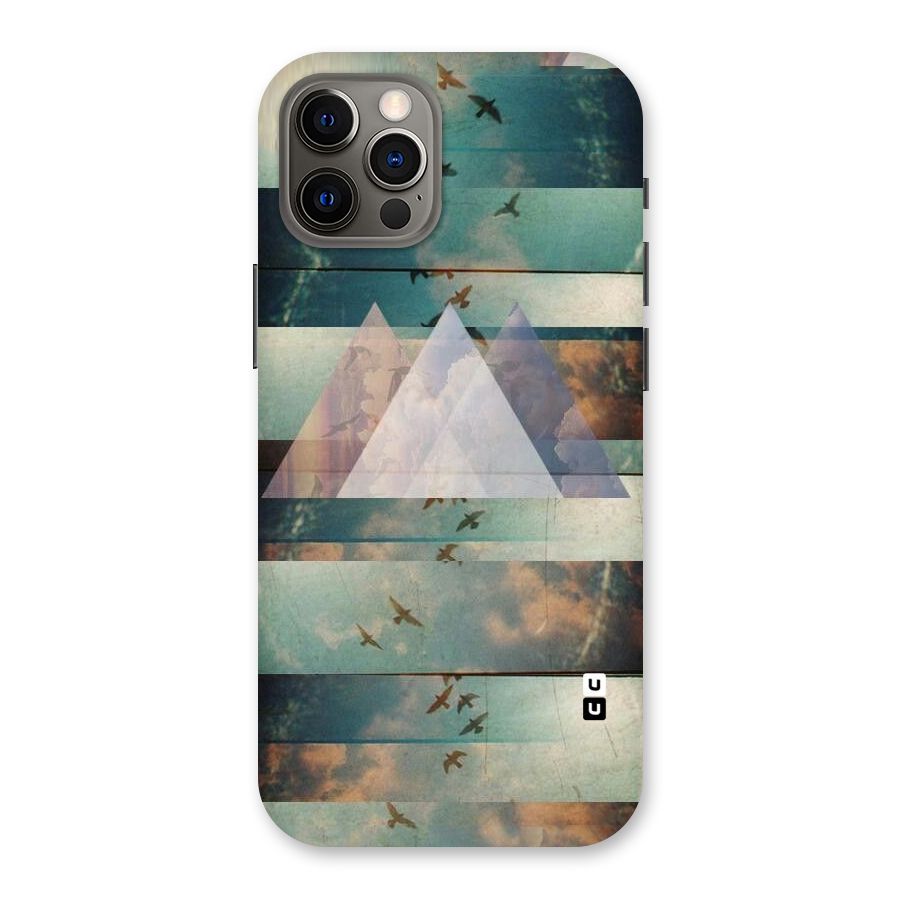 Three Triangles Back Case for iPhone 12 Pro
