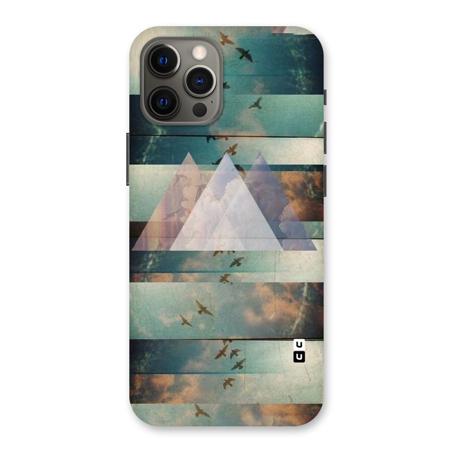 Three Triangles Back Case for iPhone 12 Pro Max