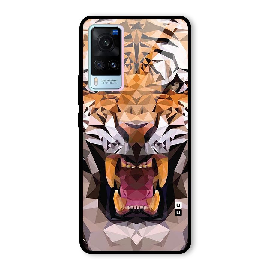Tiger Abstract Art Glass Back Case for Vivo X60