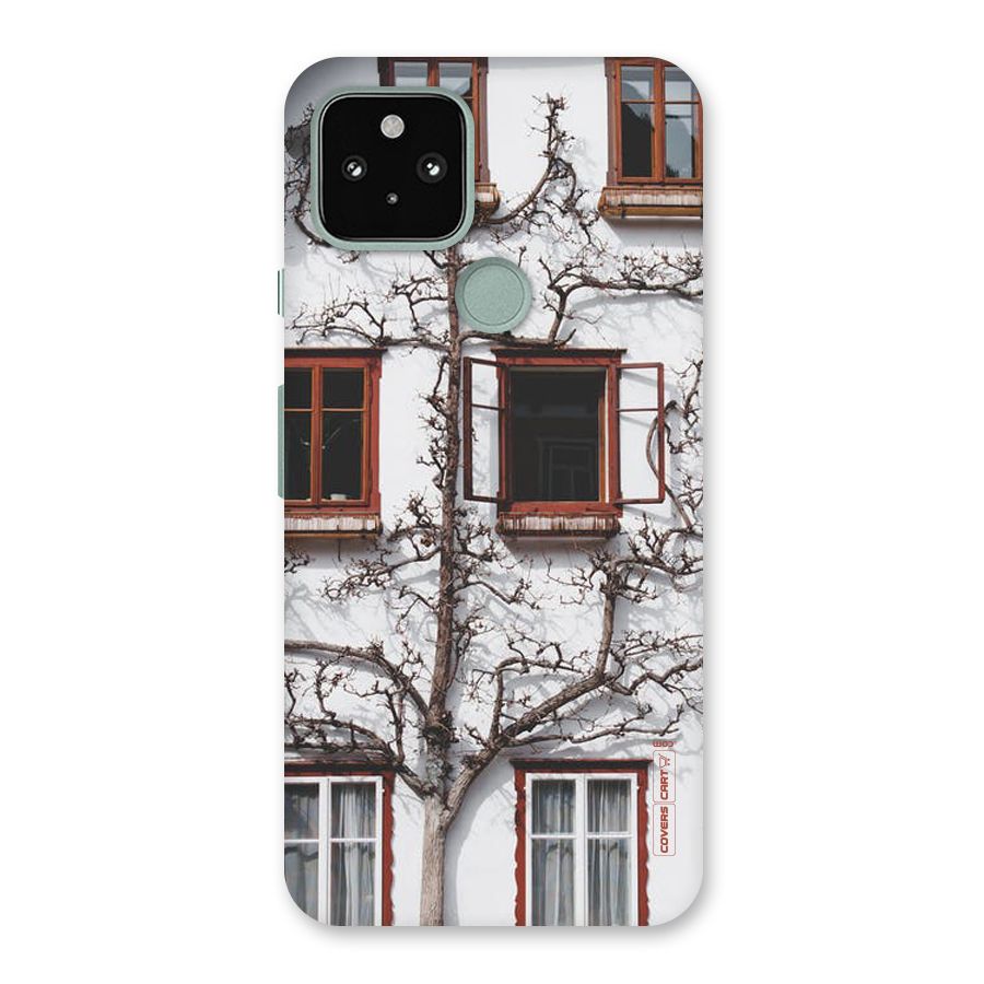 Tree House Back Case for Google Pixel 5