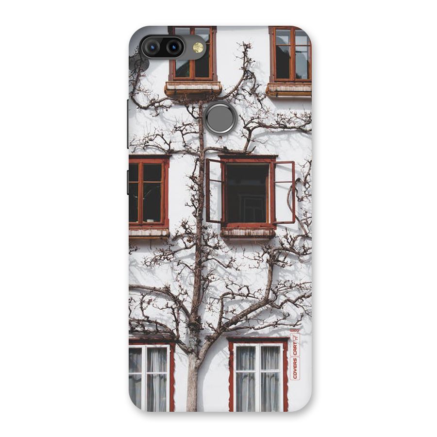 Tree House Back Case for Infinix Hot 6 Pro