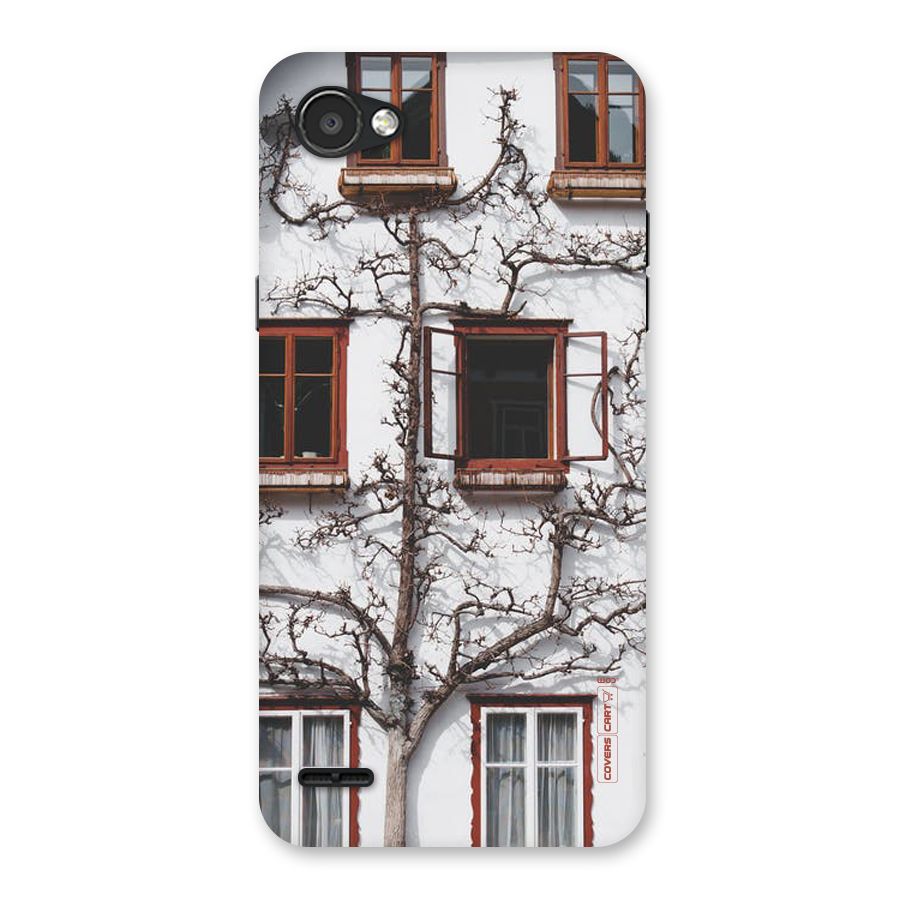 Tree House Back Case for LG Q6