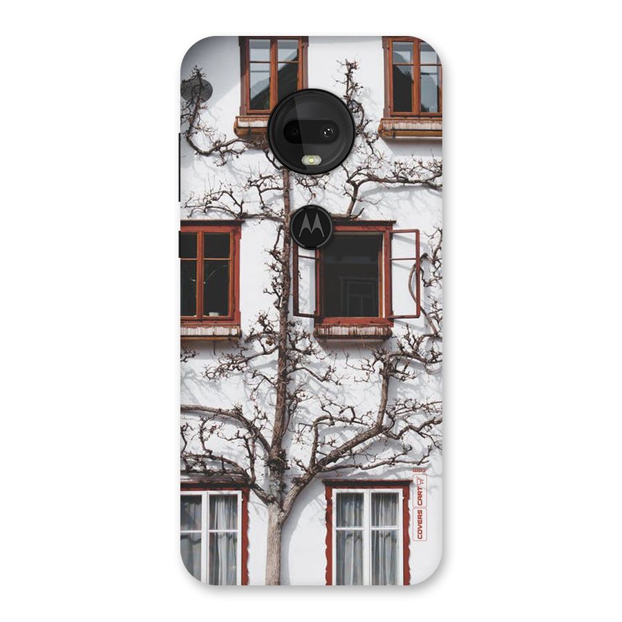 Tree House Back Case for Moto G7