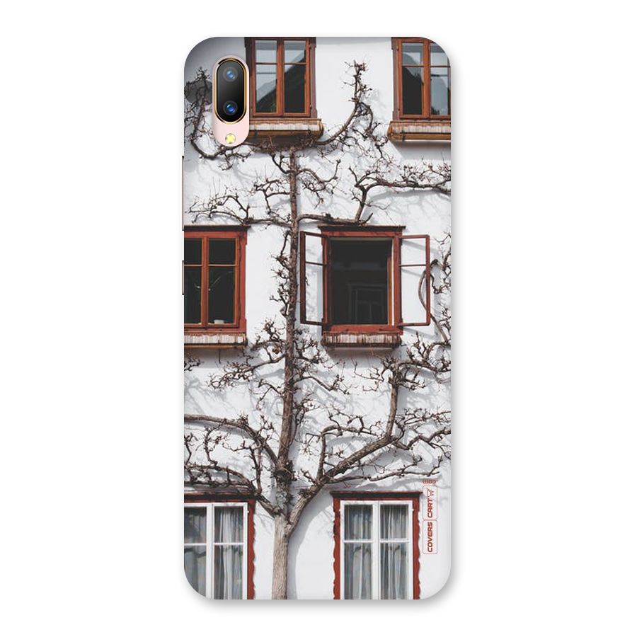 Tree House Back Case for Vivo V11 Pro