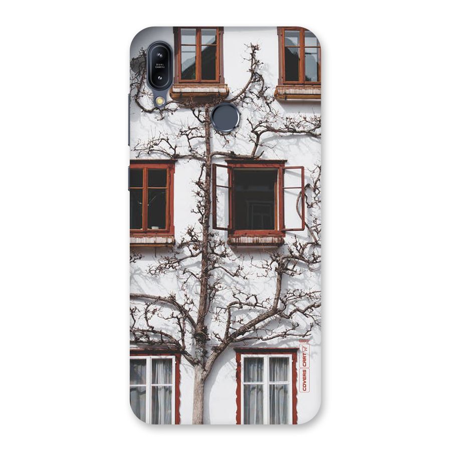 Tree House Back Case for Zenfone Max M2