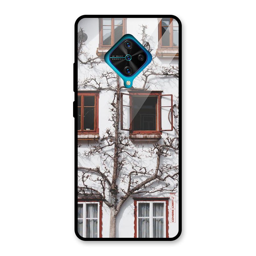 Tree House Glass Back Case for Vivo S1 Pro
