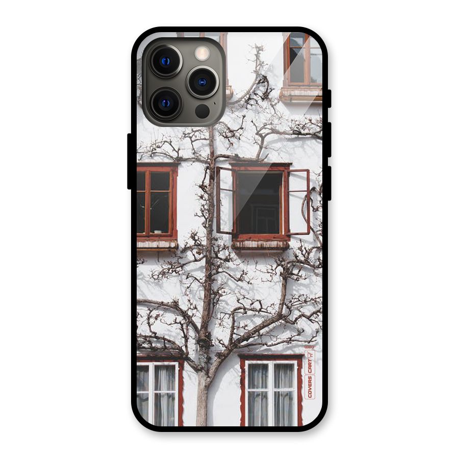 Tree House Glass Back Case for iPhone 12 Pro Max