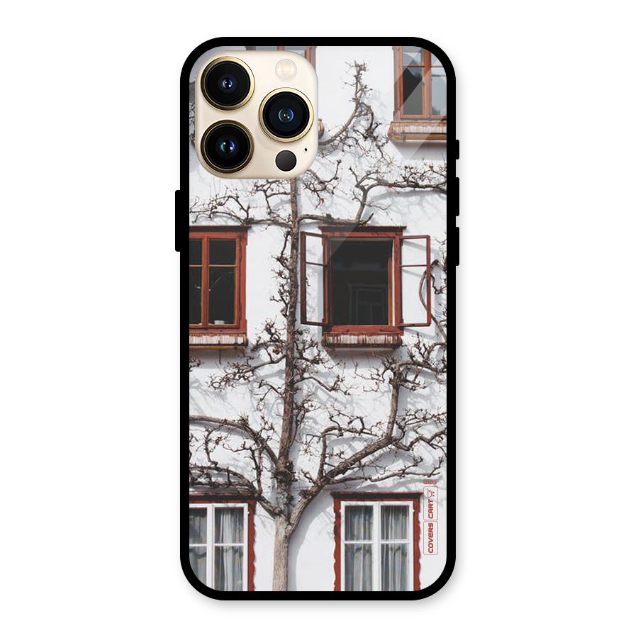 Tree House Glass Back Case for iPhone 13 Pro Max