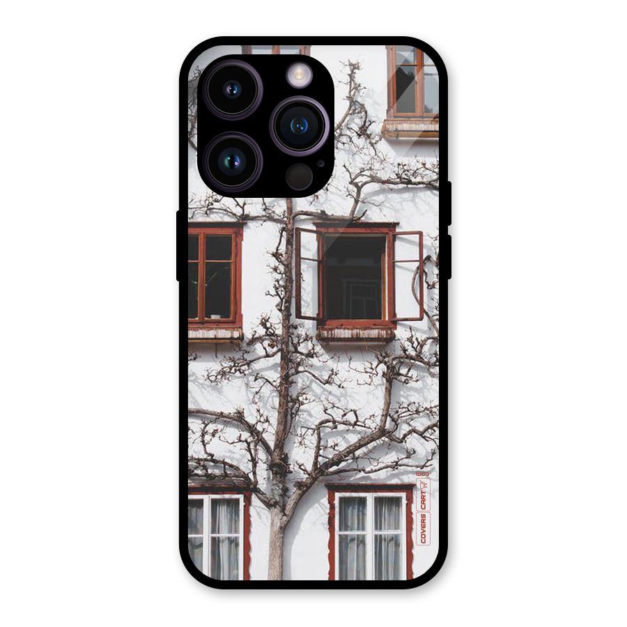 Tree House Glass Back Case for iPhone 14 Pro