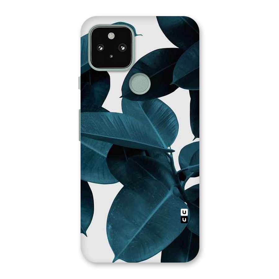 Very Aesthetic Leafs Back Case for Google Pixel 5