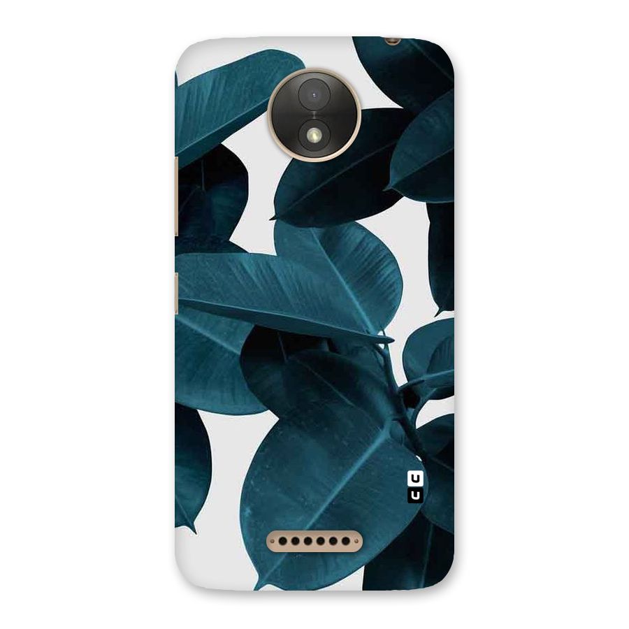 Very Aesthetic Leafs Back Case for Moto C Plus