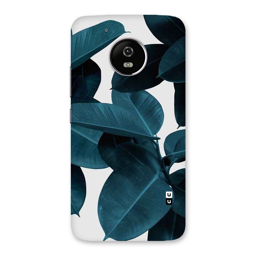 Very Aesthetic Leafs Back Case for Moto G5