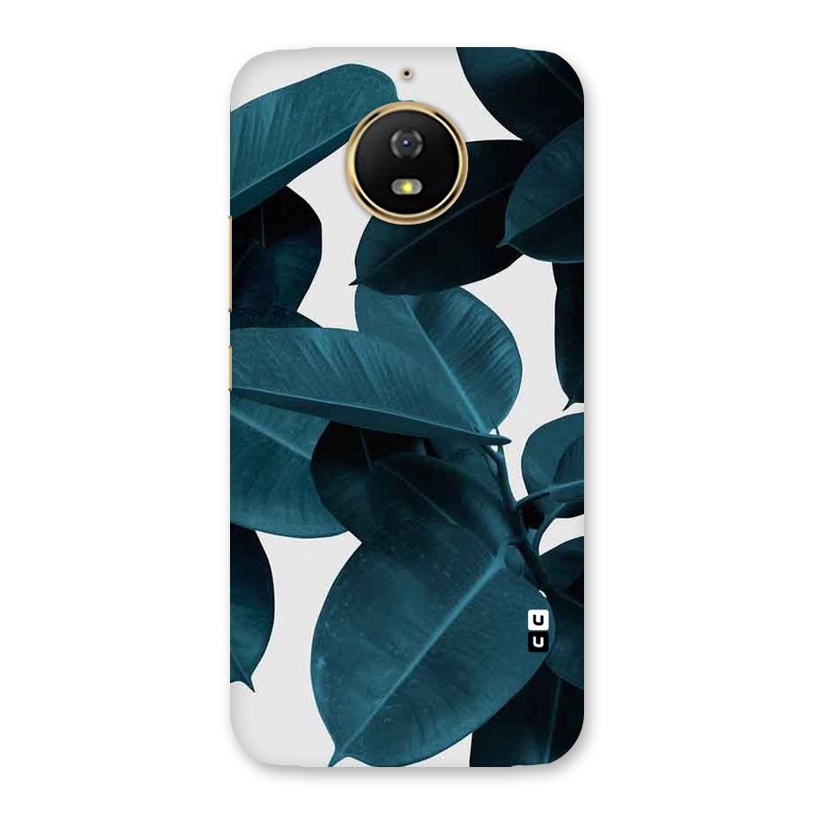 Very Aesthetic Leafs Back Case for Moto G5s
