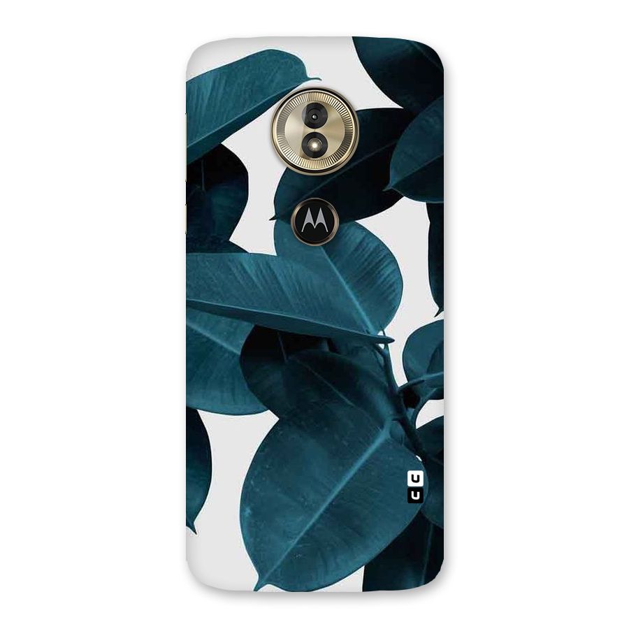Very Aesthetic Leafs Back Case for Moto G6 Play