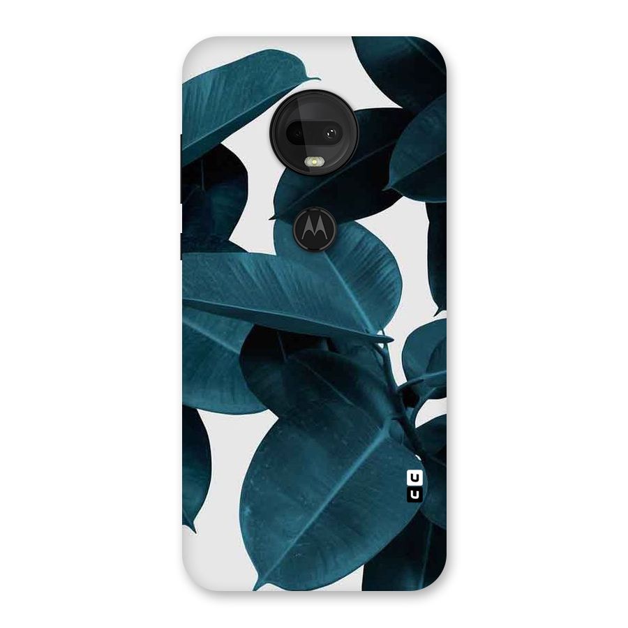 Very Aesthetic Leafs Back Case for Moto G7