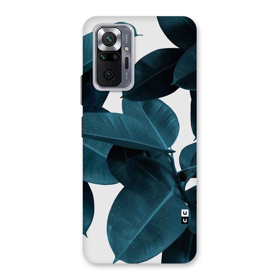 Very Aesthetic Leafs Back Case for Redmi Note 10 Pro Max