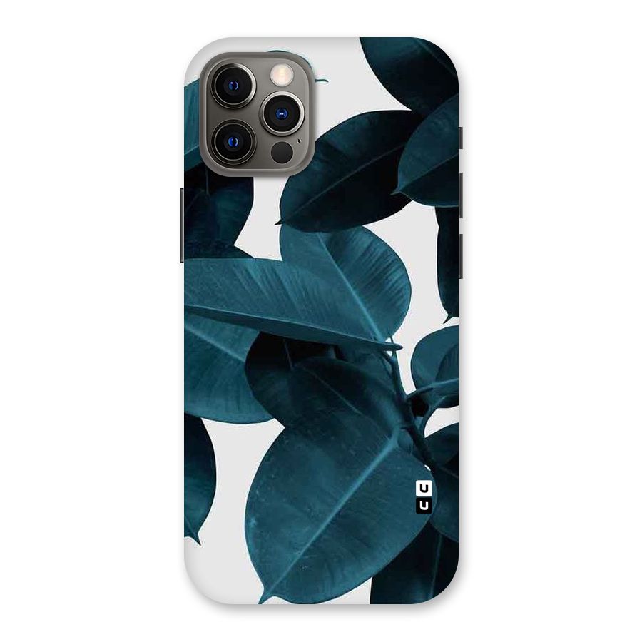 Very Aesthetic Leafs Back Case for iPhone 12 Pro