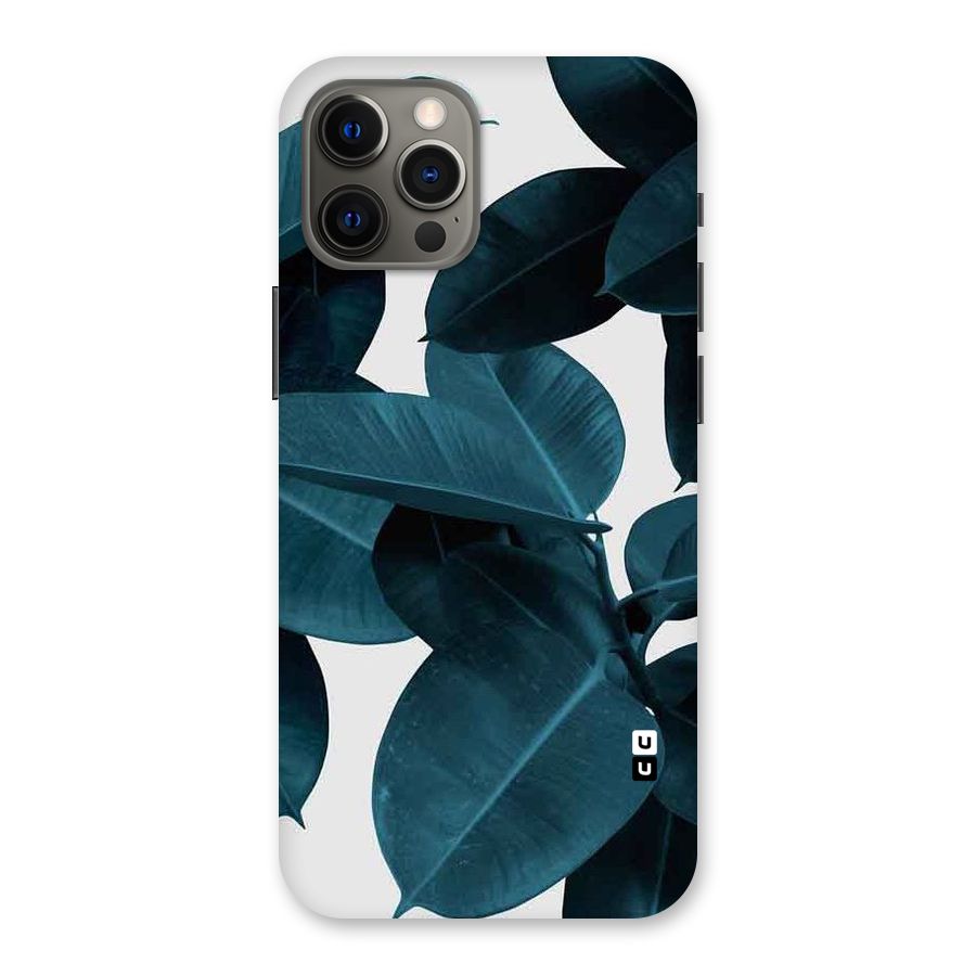 Very Aesthetic Leafs Back Case for iPhone 12 Pro Max