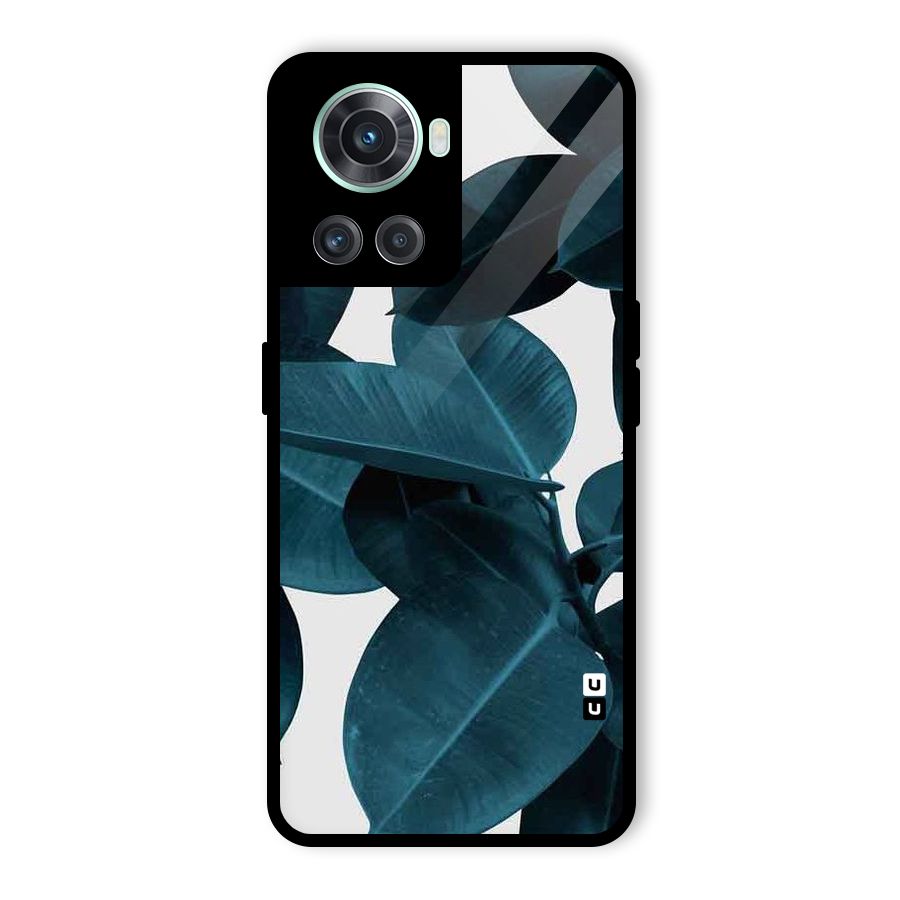 Very Aesthetic Leafs Glass Back Case for OnePlus 10R