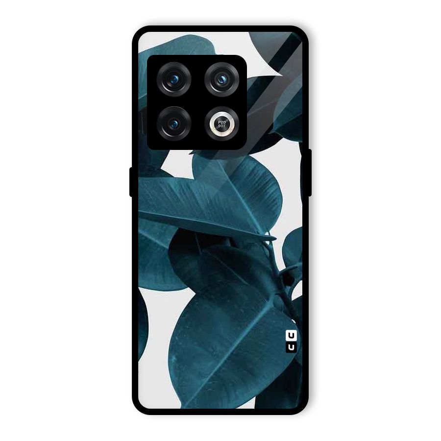 Very Aesthetic Leafs Glass Back Case for OnePlus 10 Pro 5G