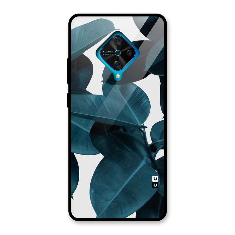 Very Aesthetic Leafs Glass Back Case for Vivo S1 Pro