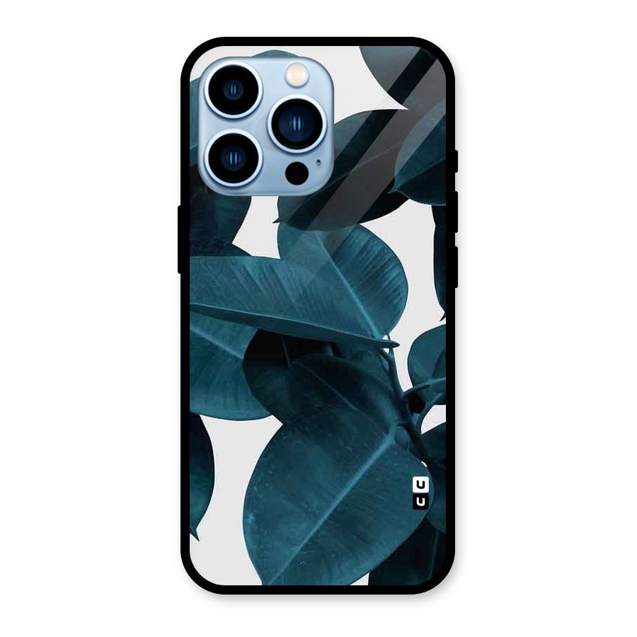 Very Aesthetic Leafs Glass Back Case for iPhone 13 Pro