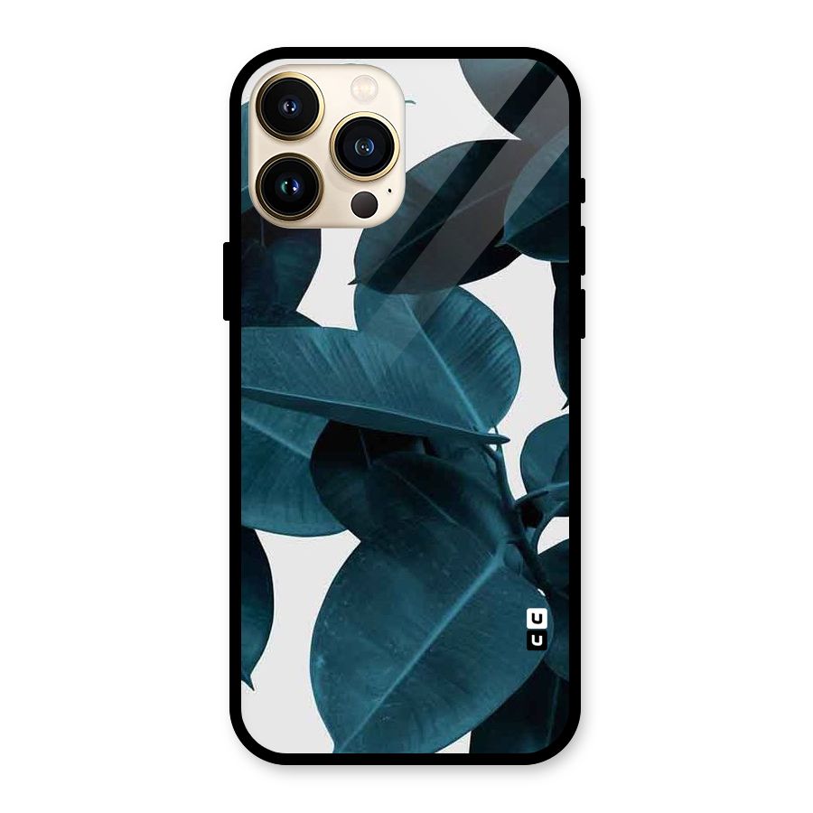 Very Aesthetic Leafs Glass Back Case for iPhone 13 Pro Max
