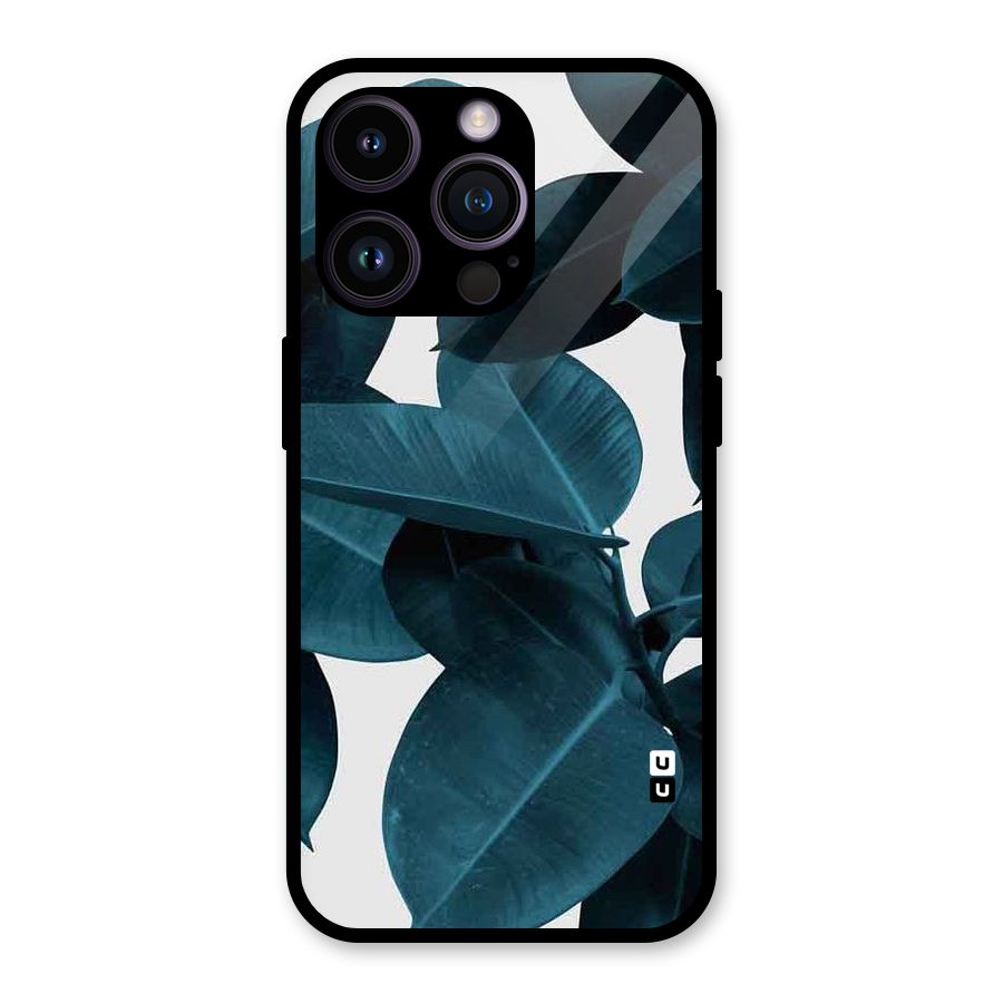 Very Aesthetic Leafs Glass Back Case for iPhone 14 Pro