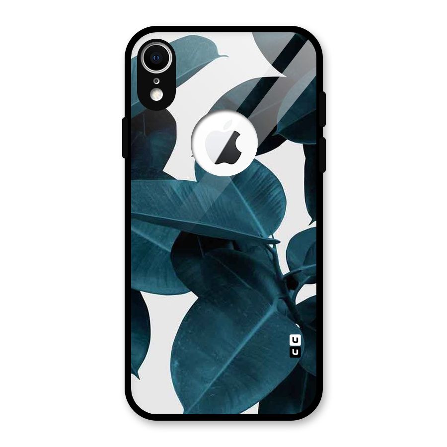 Very Aesthetic Leafs Glass Back Case for iPhone XR Logo Cut