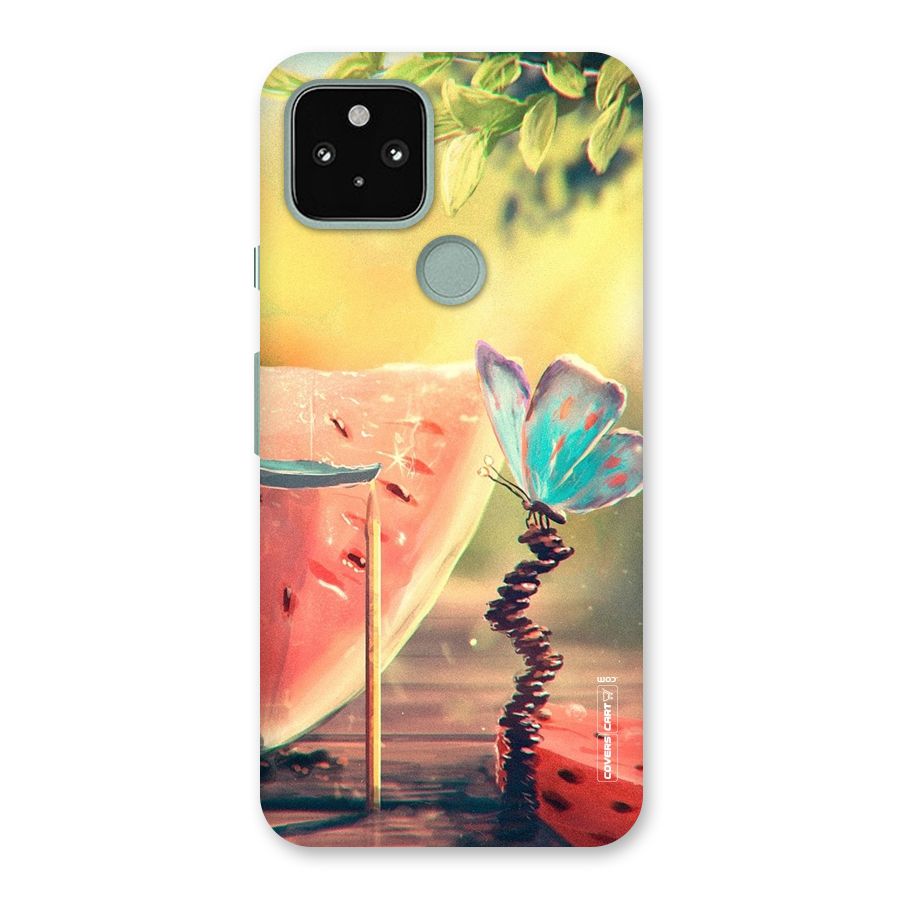 Watermelon Butterfly Back Case for Google Pixel 5